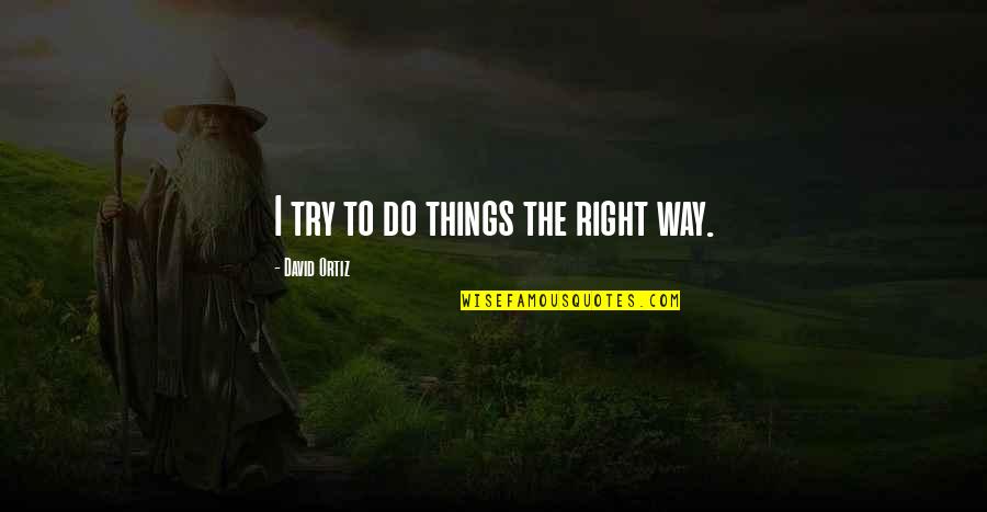 Ars Stock Quote Quotes By David Ortiz: I try to do things the right way.