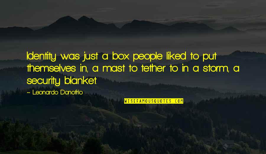 Arsangame Quotes By Leonardo Donofrio: Identity was just a box people liked to