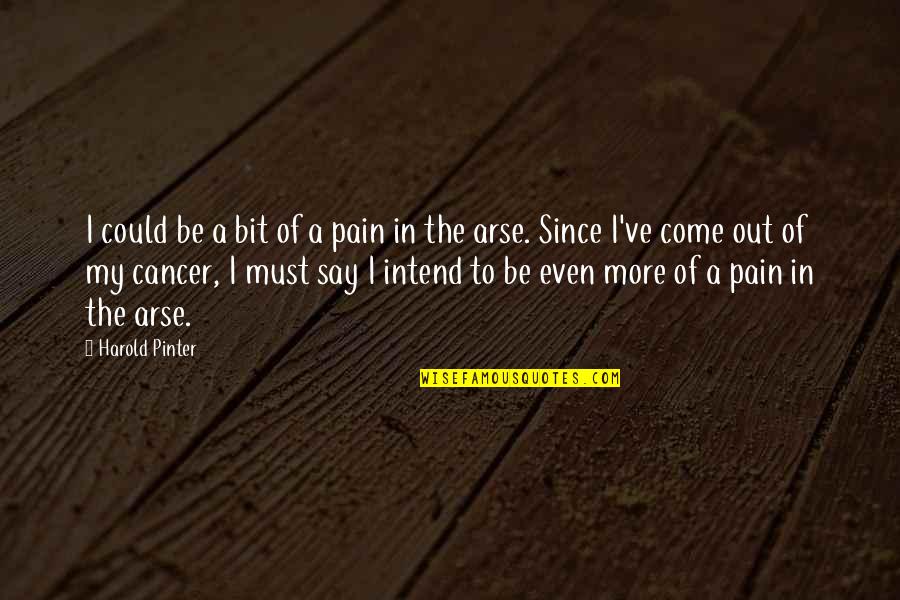 Arse Quotes By Harold Pinter: I could be a bit of a pain
