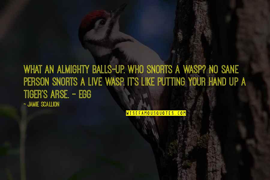 Arse Quotes By Jamie Scallion: What an almighty balls-up. Who snorts a wasp?