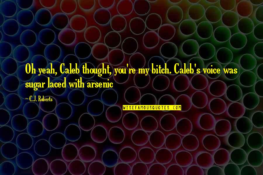 Arsenic's Quotes By C.J. Roberts: Oh yeah, Caleb thought, you're my bitch. Caleb's