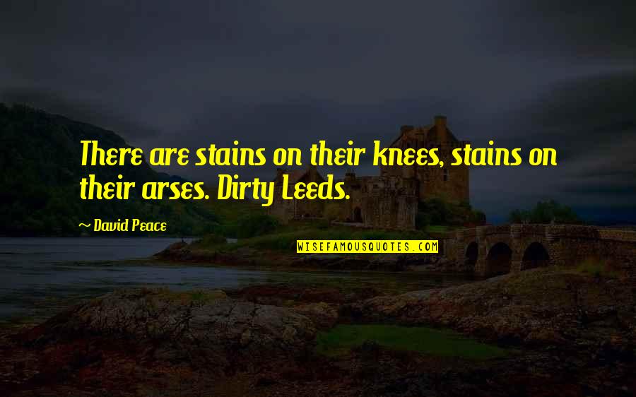 Arses Quotes By David Peace: There are stains on their knees, stains on