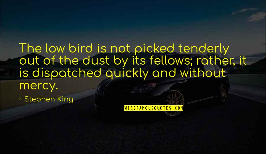 Arshia Harrison Quotes By Stephen King: The low bird is not picked tenderly out Arshia Harrison Quotes By Stephen King: The low bird is not picked tenderly out