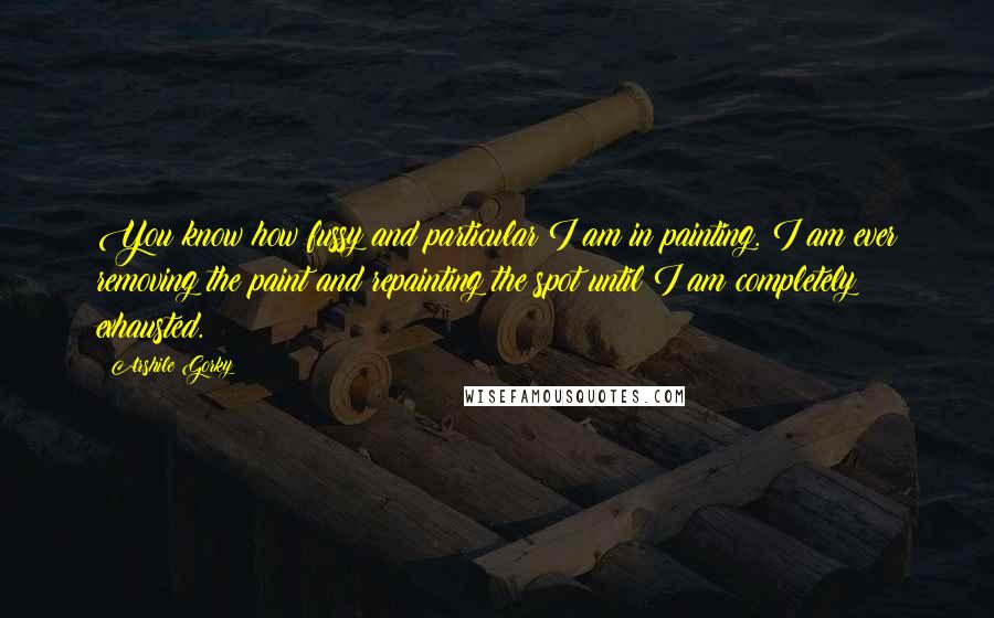 Arshile Gorky quotes: You know how fussy and particular I am in painting. I am ever removing the paint and repainting the spot until I am completely exhausted.