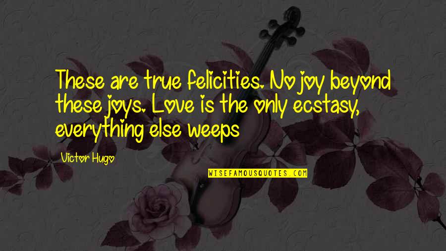 Arsine Barsegyan Quotes By Victor Hugo: These are true felicities. No joy beyond these