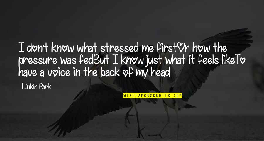 Arsonist Wine Quotes By Linkin Park: I don't know what stressed me firstOr how