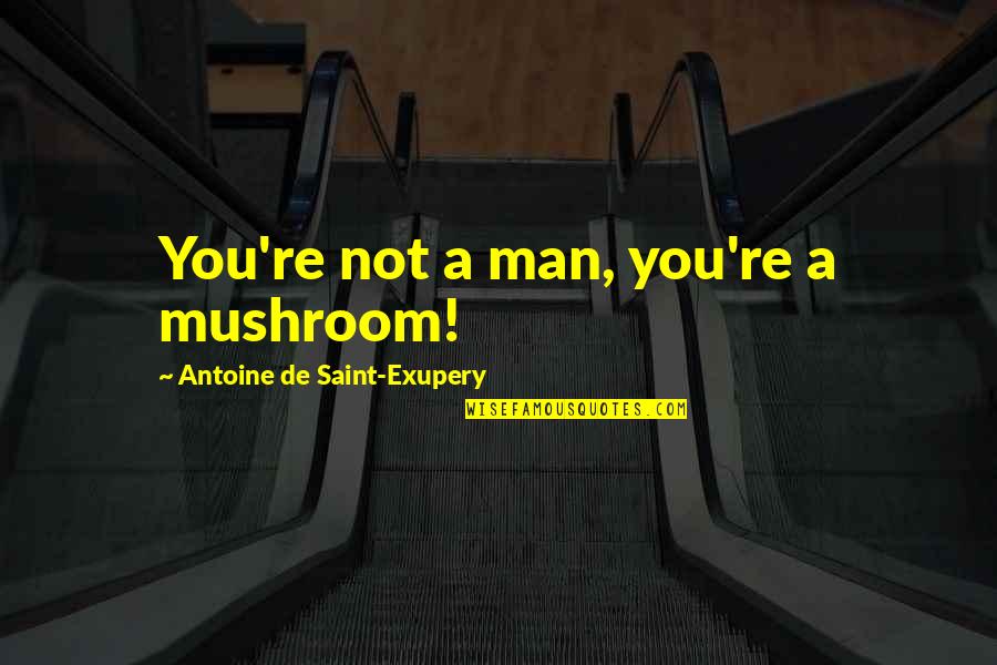 Arsons Garden Quotes By Antoine De Saint-Exupery: You're not a man, you're a mushroom!