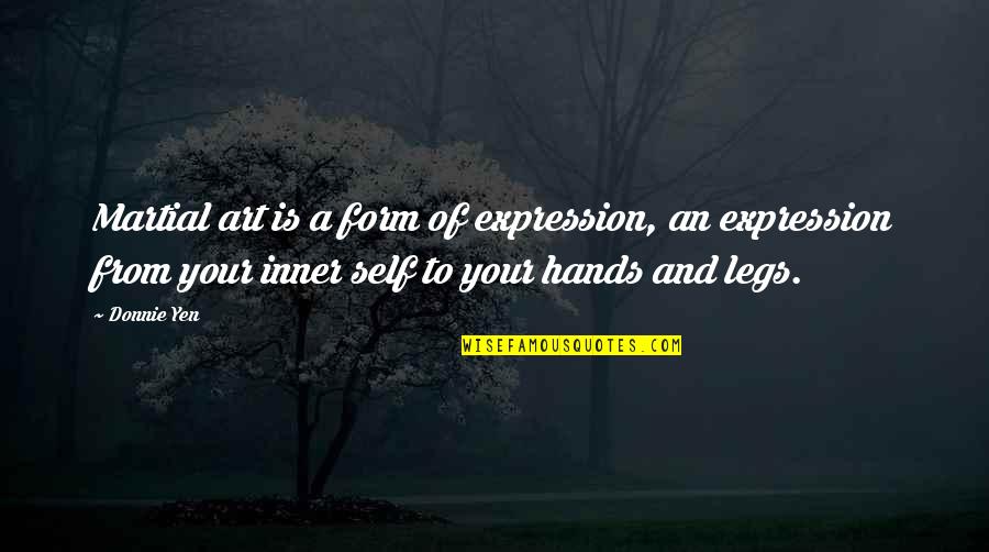 Art And Expression Quotes By Donnie Yen: Martial art is a form of expression, an