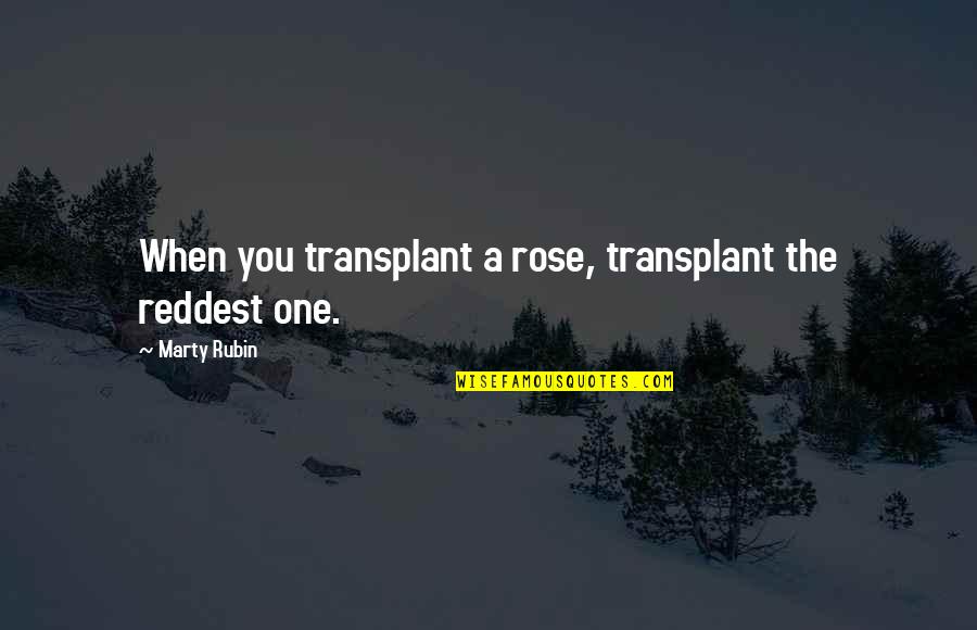 Art And Health Quotes By Marty Rubin: When you transplant a rose, transplant the reddest