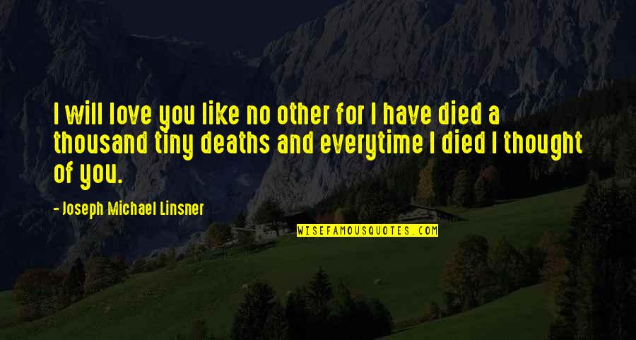 Art And Lover Quotes By Joseph Michael Linsner: I will love you like no other for