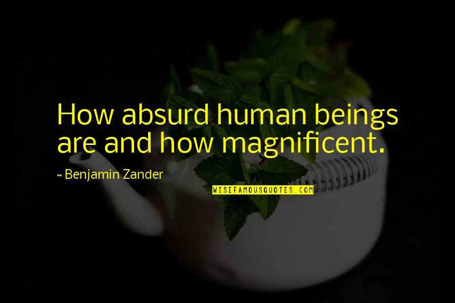 Art And Talent Quotes By Benjamin Zander: How absurd human beings are and how magnificent. Art And Talent Quotes By Benjamin Zander: How absurd human beings are and how magnificent.