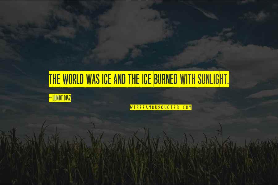Art And Vladek Relationship Quotes By Junot Diaz: The world was ice and the ice burned