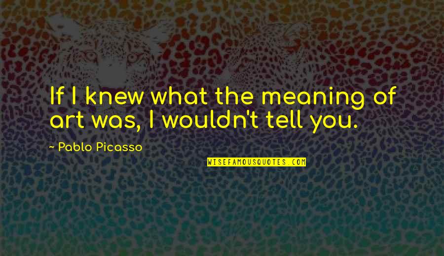 Art By Picasso Quotes By Pablo Picasso: If I knew what the meaning of art