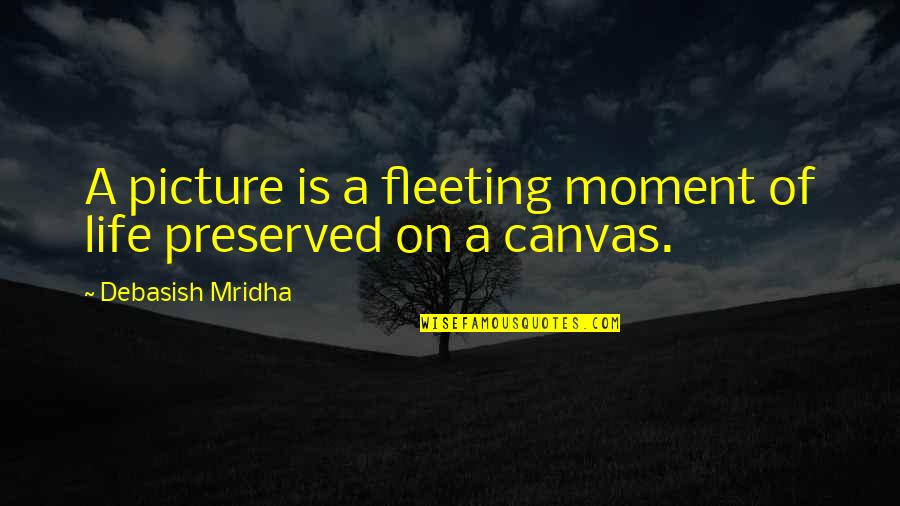 Art Canvas Quotes By Debasish Mridha: A picture is a fleeting moment of life