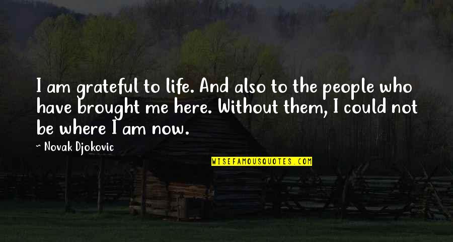 Art Decor Quotes By Novak Djokovic: I am grateful to life. And also to Art Decor Quotes By Novak Djokovic: I am grateful to life. And also to