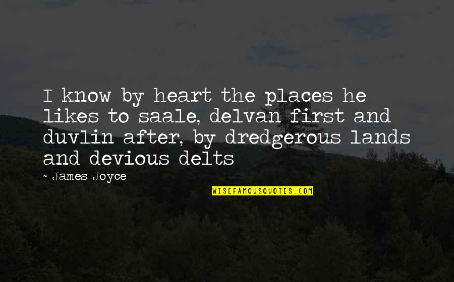 Art Description Quotes By James Joyce: I know by heart the places he likes