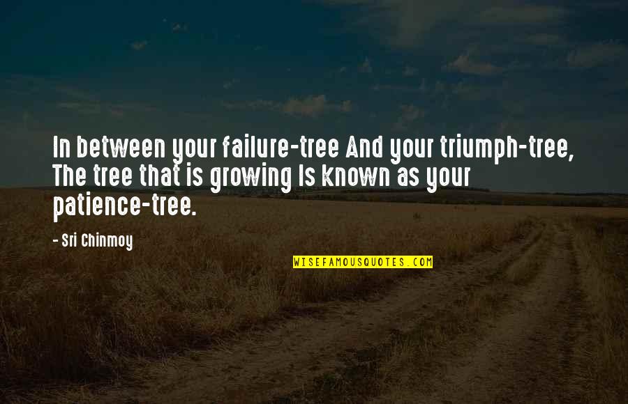 Art Feuds Quotes By Sri Chinmoy: In between your failure-tree And your triumph-tree, The