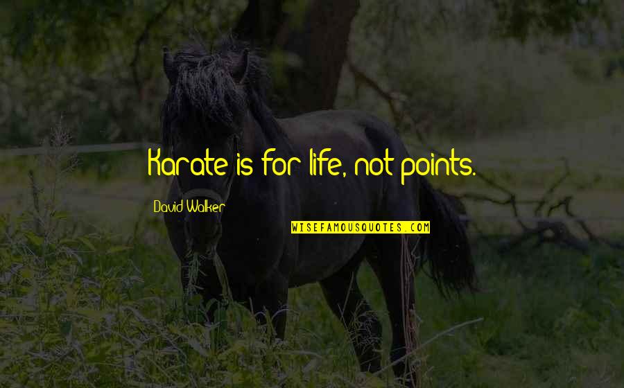 Art For Life Quotes By David Walker: Karate is for life, not points.
