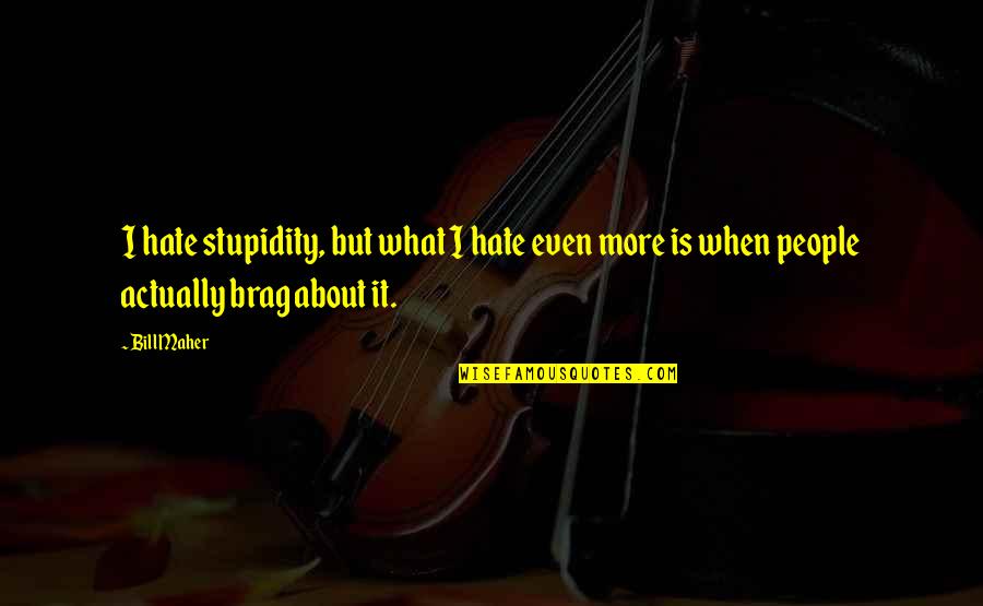 Art Forum Quotes By Bill Maher: I hate stupidity, but what I hate even