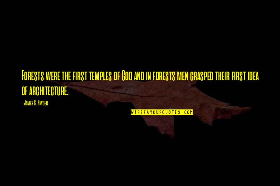 Art In Architecture Quotes By James C. Snyder: Forests were the first temples of God and