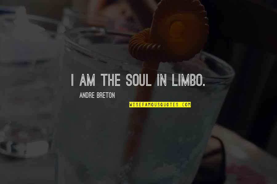 Art In Quotes By Andre Breton: I am the soul in limbo.