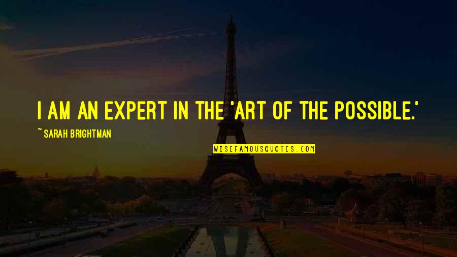 Art In Quotes By Sarah Brightman: I am an expert in the 'art of