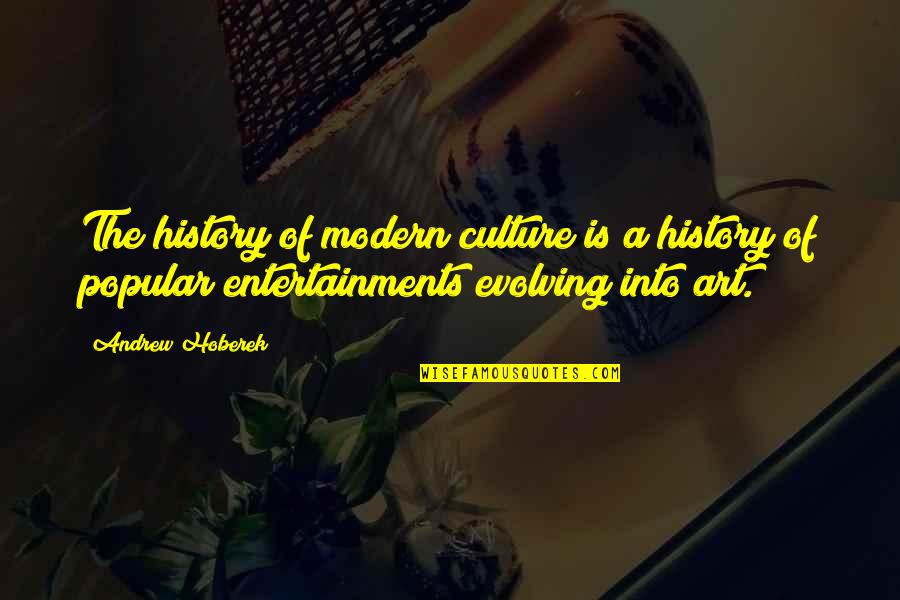 Art Is Entertainment Quotes By Andrew Hoberek: The history of modern culture is a history