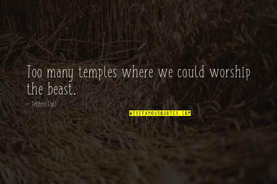 Art Is Long Life Is Short Quotes By Jethro Tull: Too many temples where we could worship the