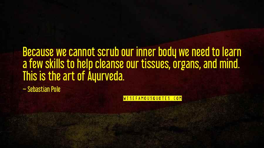 Art Is Therapy Quotes By Sebastian Pole: Because we cannot scrub our inner body we