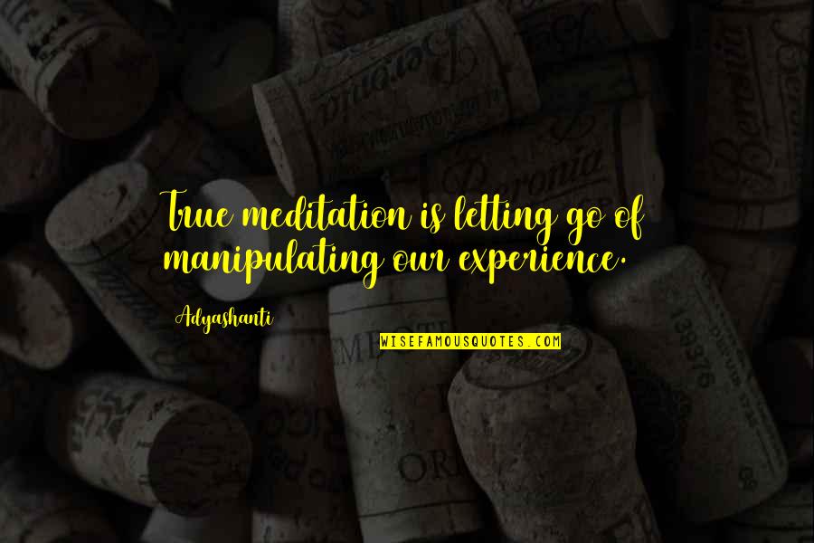 Art Levinson Quotes By Adyashanti: True meditation is letting go of manipulating our