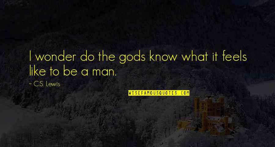 Art Makes Sense Quotes By C.S. Lewis: I wonder do the gods know what it