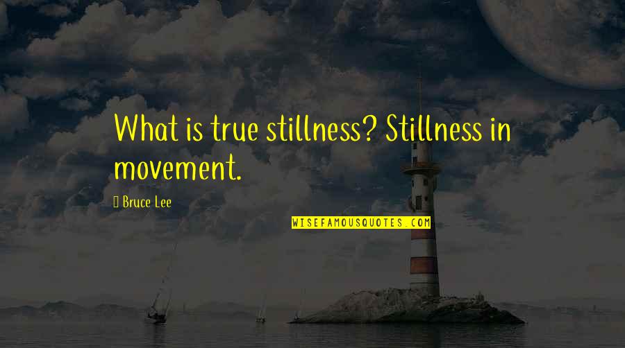 Art Of Stillness Quotes By Bruce Lee: What is true stillness? Stillness in movement.