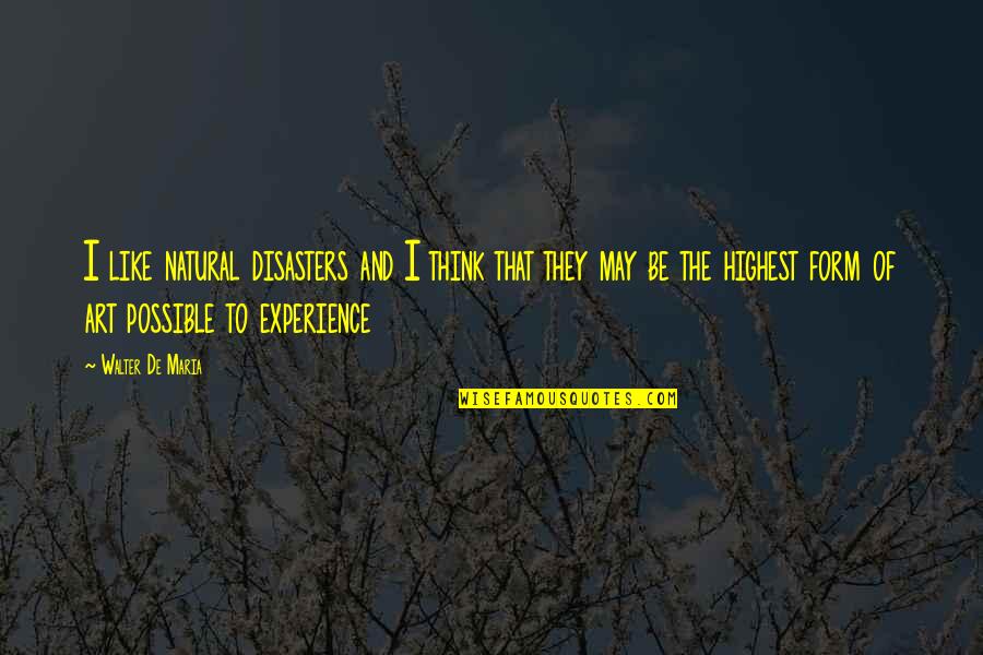 Art Of Thinking Quotes By Walter De Maria: I like natural disasters and I think that Art Of Thinking Quotes By Walter De Maria: I like natural disasters and I think that