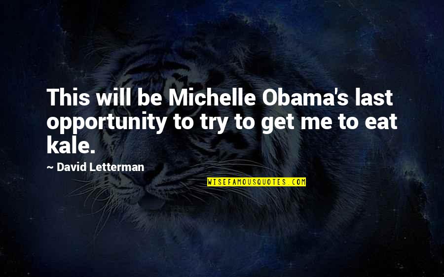 Art Proverbs Quotes By David Letterman: This will be Michelle Obama's last opportunity to