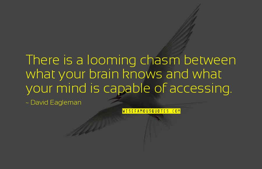 Art Reflects Society Quotes By David Eagleman: There is a looming chasm between what your