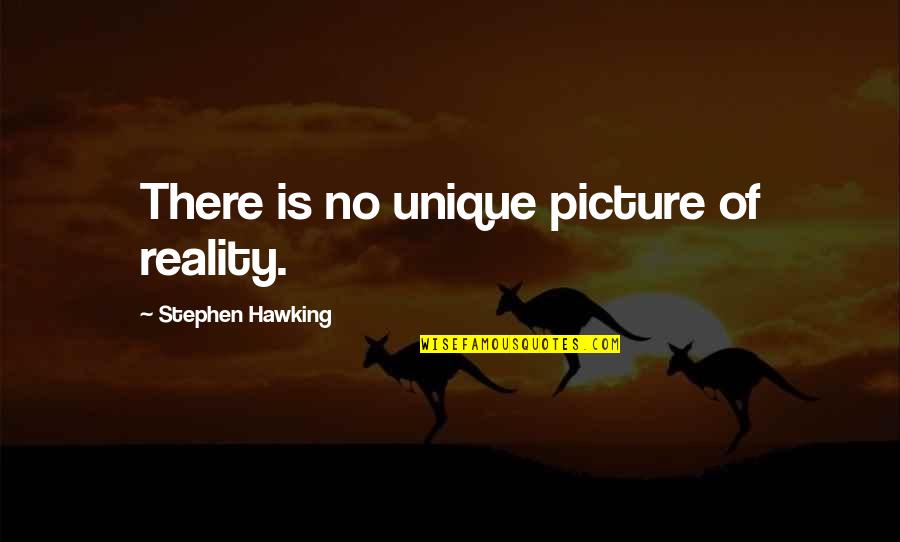 Art Reflects Society Quotes By Stephen Hawking: There is no unique picture of reality.