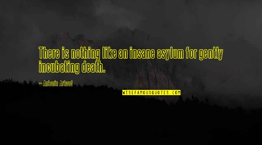 Artaud Quotes By Antonin Artaud: There is nothing like an insane asylum for
