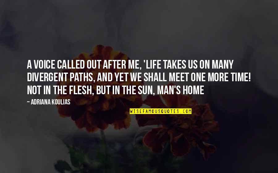 Artemis Goddess Quotes By Adriana Koulias: A voice called out after me, 'life takes
