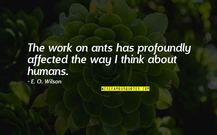 Artemisia Of Caria Quotes By E. O. Wilson: The work on ants has profoundly affected the