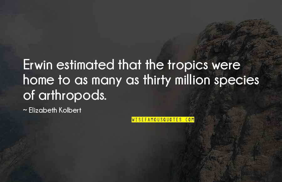 Arthropods Quotes By Elizabeth Kolbert: Erwin estimated that the tropics were home to