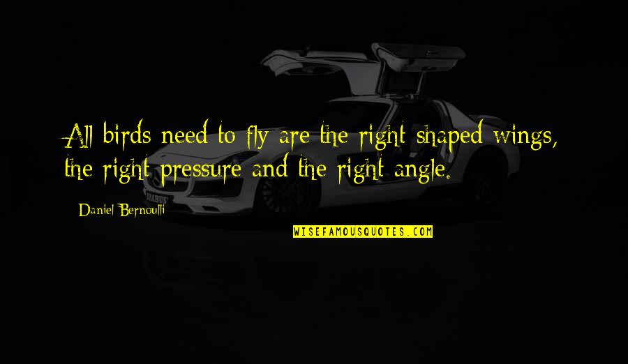 Arthur Japin Vaslav Quotes By Daniel Bernoulli: All birds need to fly are the right-shaped