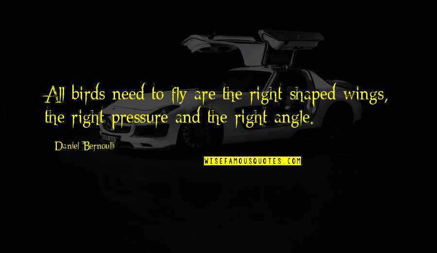 Arthur Japin Vaslav Quotes By Daniel Bernoulli: All birds need to fly are the right-shaped Arthur Japin Vaslav Quotes By Daniel Bernoulli: All birds need to fly are the right-shaped