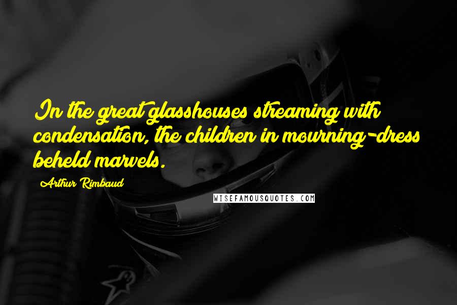 Arthur Rimbaud quotes: In the great glasshouses streaming with condensation, the children in mourning-dress beheld marvels.