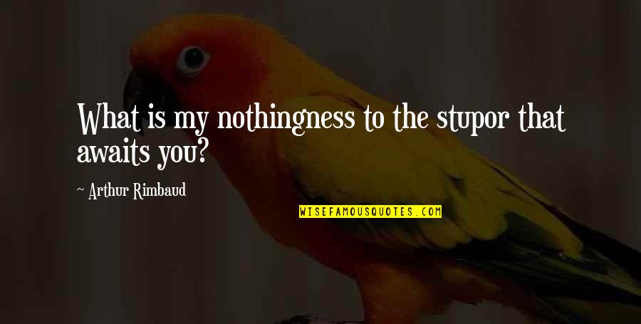 Arthur Rimbaud Quotes By Arthur Rimbaud: What is my nothingness to the stupor that