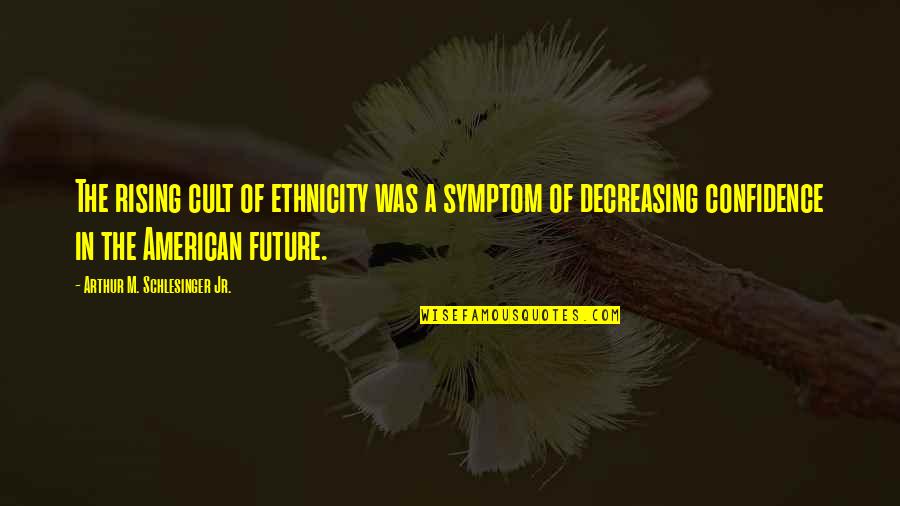 Arthur Schlesinger Quotes By Arthur M. Schlesinger Jr.: The rising cult of ethnicity was a symptom