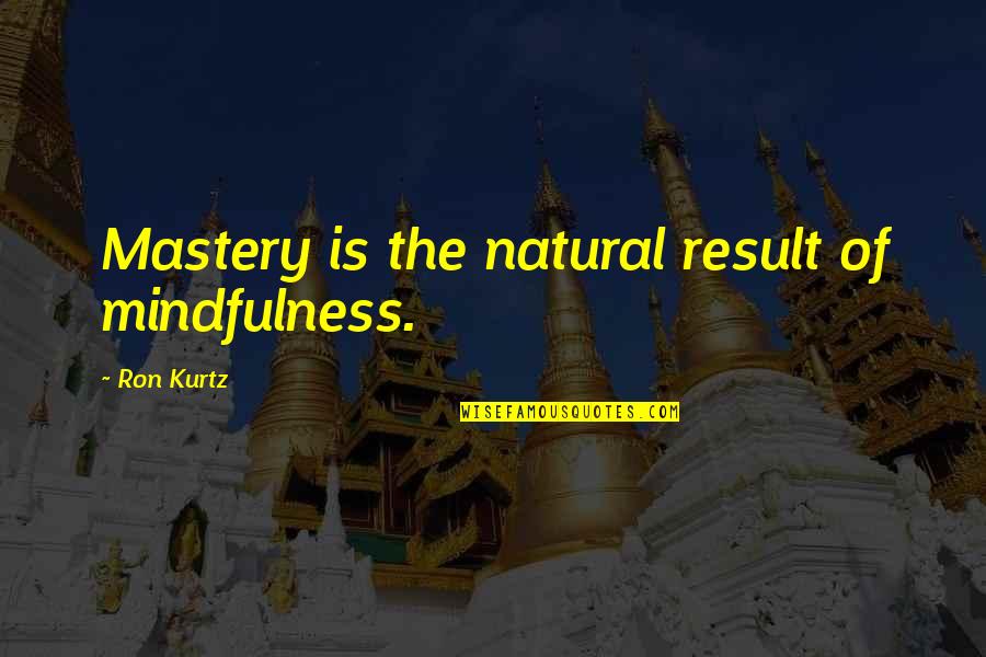 Arthur Schomburg Quotes By Ron Kurtz: Mastery is the natural result of mindfulness.