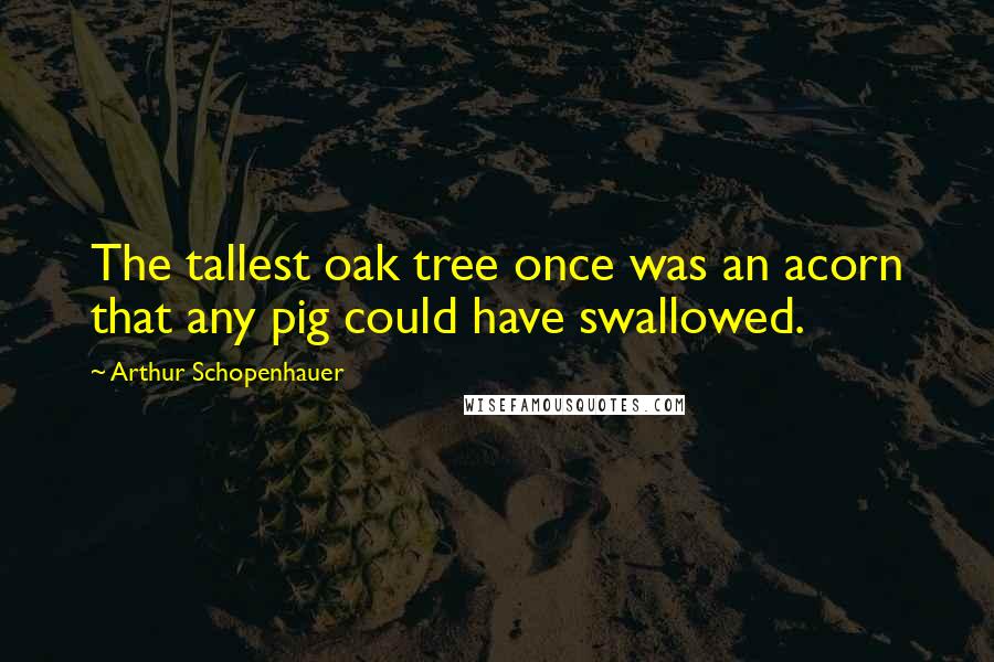 Arthur Schopenhauer quotes: The tallest oak tree once was an acorn that any pig could have swallowed.