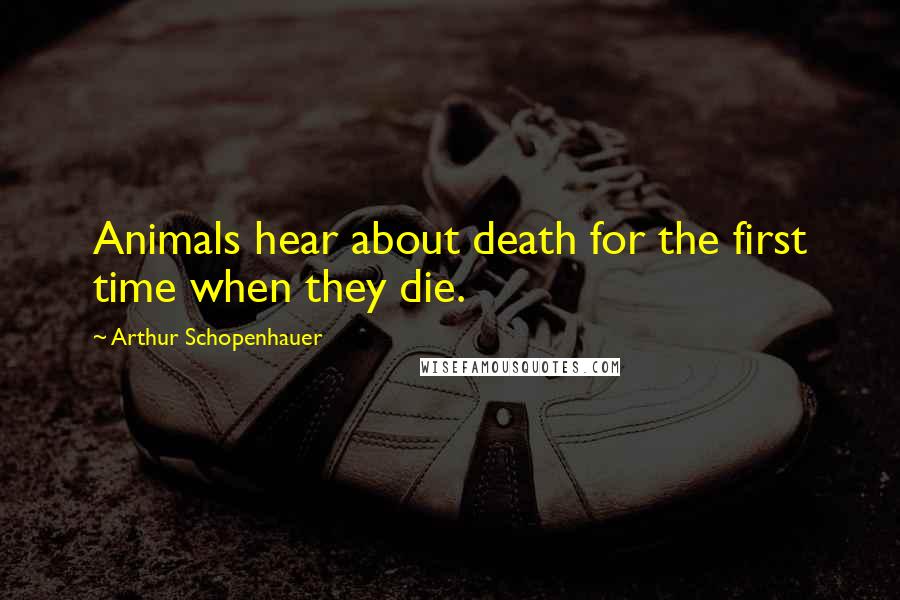 Arthur Schopenhauer quotes: Animals hear about death for the first time when they die.