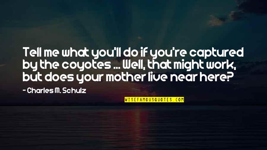 Arthur Seyss-inquart Quotes By Charles M. Schulz: Tell me what you'll do if you're captured Arthur Seyss-inquart Quotes By Charles M. Schulz: Tell me what you'll do if you're captured