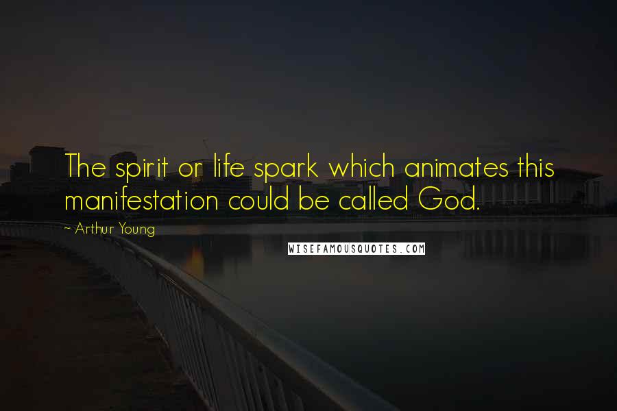 Arthur Young quotes: The spirit or life spark which animates this manifestation could be called God.